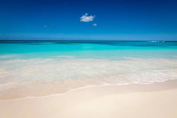 Tropical Beach Caribbean Sea Idyllic Saona Island Punta Cana Dominican Stock Picture