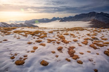 Stelvio geçidi, Kuzey İtalya 'da şafak vakti dramatik dağ manzarası.