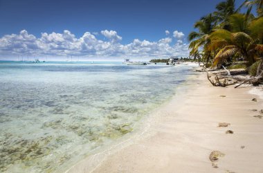 Boats and tropical beach in caribbean sea, idyllic Saona island, Punta Cana, Dominican Republic
