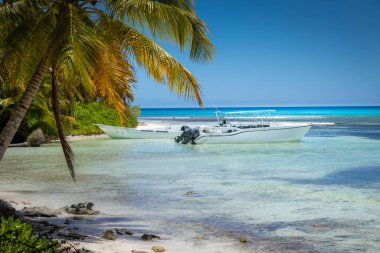 Boats and tropical beach in caribbean sea, idyllic Saona island, Punta Cana, Dominican Republic