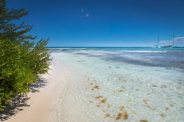 Boats Tropical Beach Caribbean Sea Idyllic Saona Island Punta Cana — Fotografia de Stock