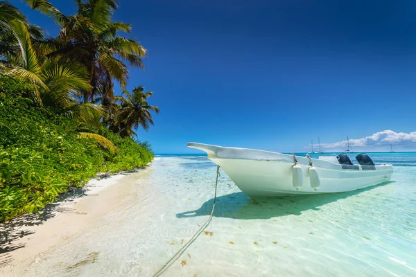 Boat Tropical Beach Caribbean Sea Idyllic Saona Island Punta Cana — 스톡 사진