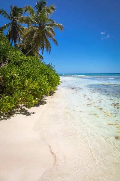 Praia Tropical Mar Caribe Idílica Ilha Saona Punta Cana República — Fotografia de Stock