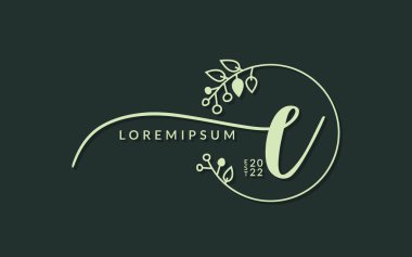 El yazısıyla imzalanmış harfler e kaligrafik vektör grafik tasarımı, düğün kartı için kullanılabilir, kişisel imza, logo tasarım konsepti çizimi