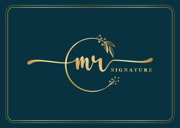 Luxusní Zlatý Podpis Počáteční Logo Pan Design Izolované Listy Květiny — Stockový vektor