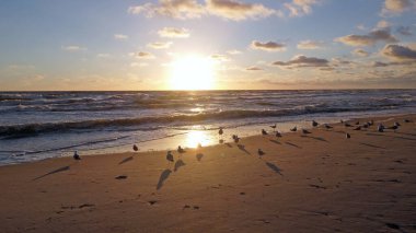 Baltık Denizi 'nde gün batımı. Litvanya 'nın Klaipeda limanının su bölgesi.