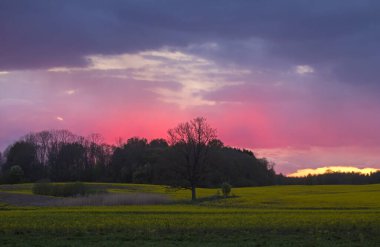 Tarlaların üzerinde dramatik bir gökyüzü. Doğu Litvanya 'da tarım arazisi.