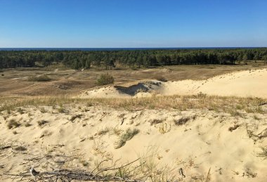 Kumlu plaj ve kıvrımlı kum tepeleri