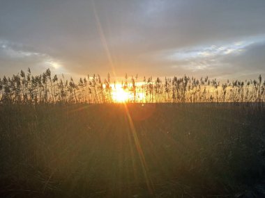 Autumn sunrise over the Curonian Lagoon. View of the bay from the resort town of Nida, Lithuania. clipart