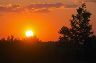 Tarlaların üzerinde parlak gün batımı. Doğu Litvanya 'da tarım arazisi.