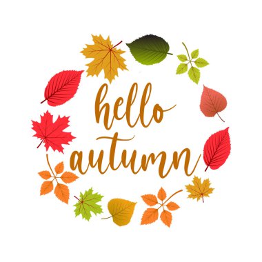 Merhaba, Autumn. Hoşça kal, Summer. Sonbahar ve sonbahar yaprakları. Sonbahar yapraklarının arka planında vektör çizimi. Sonbahar reklamını kabul et.