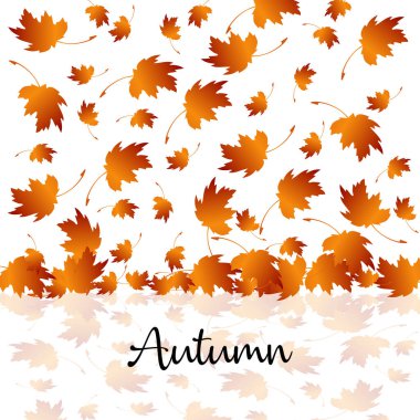 abstract autumn backgrounds for social media stories. Colorful banners with autumn fallen leaves and yellowed foliage. Use for event invitation, discount voucher, advertising.