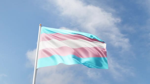 Transpersflagga Vinka Vinden Transflagga Blå Himmel Hög Flaggstång Stolthet Gay — Stockvideo