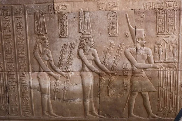 Beautiful ancient egyptian carvings at Kom Ombo temple in Aswan 