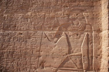 Aswan, Mısır 'daki soyluların mezarlarında Antik Mısır oymaları ve hiyeroglifler