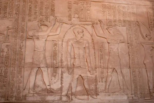 Antik Mısır Kom Ombo Tapınağı Aswan, Mısır