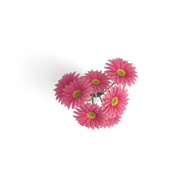 Gerbera Buketi Pembe Fantezi Çiçek Bitkilerindeki Güzel Beyaz arka planda izole edilmiş