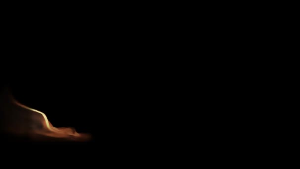 Siyah Arkaplanda Ateş — Stok video