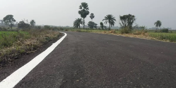 rural road with fields in india
