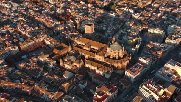 Aerial View Granada Cathedral Sunrise Roman Catholic Church City Granada — Stock Video