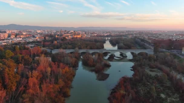 Widok Góry Meczet Katedrę Kordobie Rzymski Most Przez Rzekę Guadalquivir — Wideo stockowe