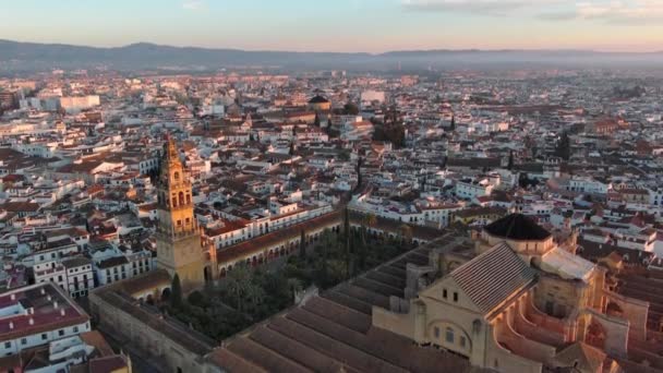 Una Vista Desde Alto Mezquita Catedral Córdoba Puente Romano Sobre — Vídeos de Stock