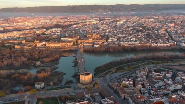 Widok Góry Meczet Katedrę Kordobie Rzymski Most Przez Rzekę Guadalquivir — Wideo stockowe