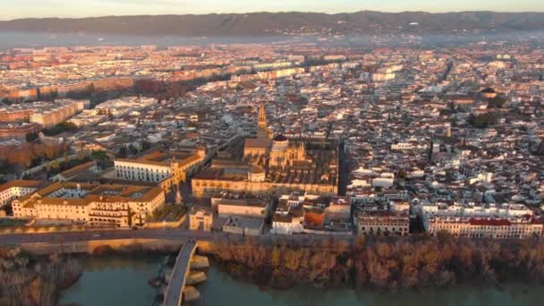 Kilátás Cordoba Mecset Székesegyházra Guadalquivir Folyón Átívelő Római Hídra Mindkettő — Stock videók