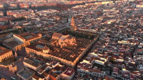 Άποψη Από Ψηλά Του Τεμένους Καθεδρικός Ναός Της Κόρδοβας Και — Αρχείο Βίντεο