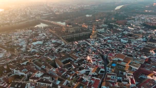 西班牙安达卢西亚科尔多瓦历史清真寺大教堂的空中无人机图像 这是联合国的一个世界遗产 — 图库视频影像