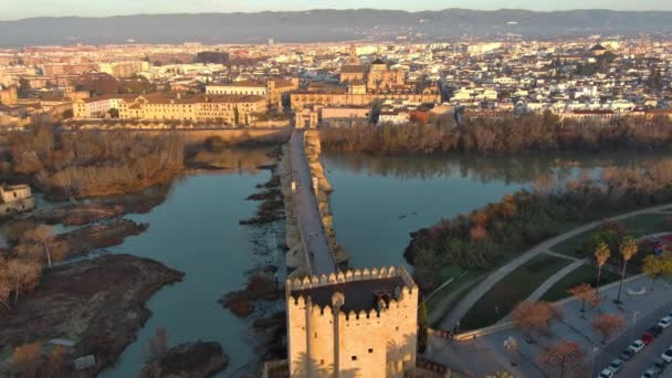 Luchtfoto Drone Beelden Van Historische Moskee Van Cordoba Andalusië Spanje — Stockvideo