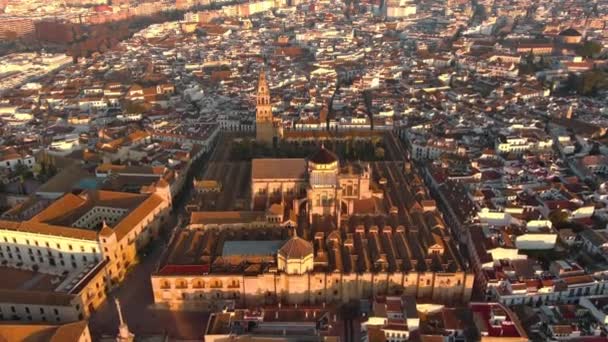 Riprese Aeree Del Drone Della Storica Moschea Cattedrale Cordova Andalusia — Video Stock