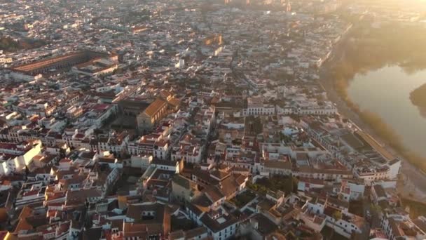 Vista Aérea Ciudad Córdoba Con Horizonte Amanecer Andalucía España — Vídeo de stock