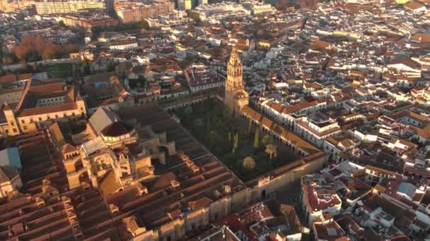 Nagranie Drona Historycznego Meczetu Katedra Kordobie Andaluzja Hiszpania Unesco Światowego — Wideo stockowe