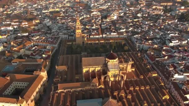 Imágenes Aéreas Mezquita Histórica Catedral Córdoba Andalucía España Patrimonio Humanidad — Vídeos de Stock