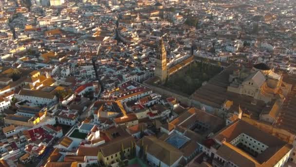 Letecký Drone Záběry Historické Mešity Katedrály Cordoba Andalusie Španělsko Světového — Stock video