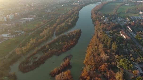 Вид Воздуха Горизонт Кордовы Река Гвадалквививир Андалусия Испания — стоковое видео
