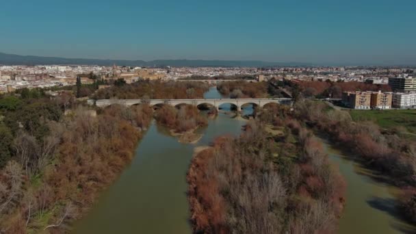 Cordoba Şehri Guadalquivir Nehri San Rafael Köprüsü Endülüs Spanya — Stok video