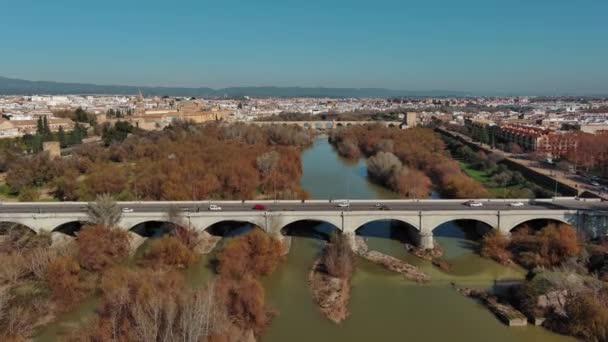 Widok Lotu Ptaka Miasto Cordoba Rzekę Guadalquivir Most San Rafael — Wideo stockowe