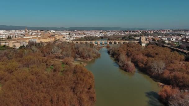 Vista Aérea Mezquita Catedral Córdoba Puente Romano Ciudad Histórica Río — Vídeo de stock