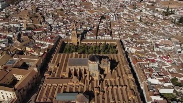 Vista Aérea Mezquita Catedral Córdoba Puente Romano Ciudad Histórica Río — Vídeo de stock
