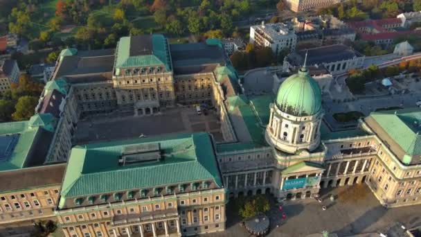 ブダ城王宮 ハンガリー ブダペストの空中写真 — ストック動画