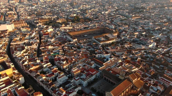 Sunrise Aerial View Cordoba Plaza Corredera Square Andalusië Spanje — Stockfoto