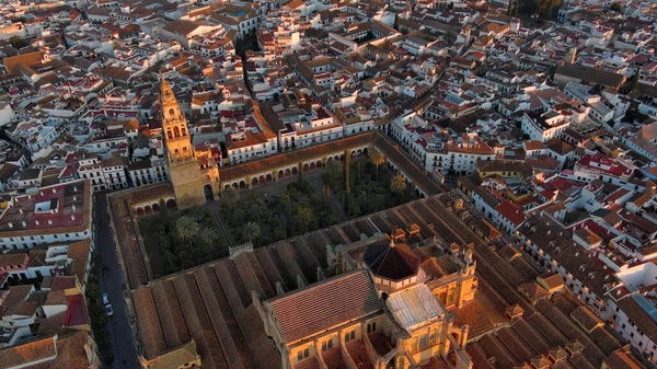 Una Vista Desde Alto Mezquita Catedral Córdoba Puente Romano Sobre —  Fotos de Stock