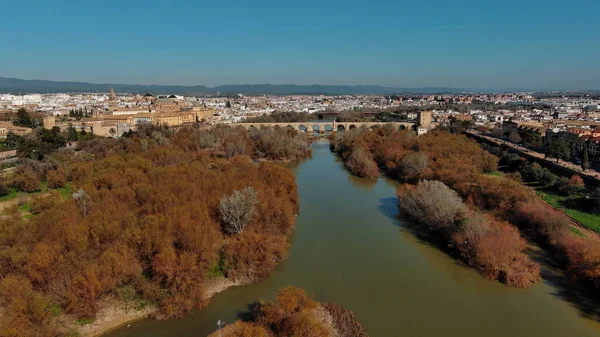 Aerial View Mosque Cathedral Cordoba Római Híd Történelmi Város Guadalquivir — Stock Fotó