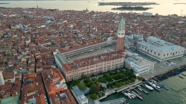 Orizontul Orașului Veneția Vederea Aeriană Pieței Mărci Palatul Dogilor Bazilica — Videoclip de stoc