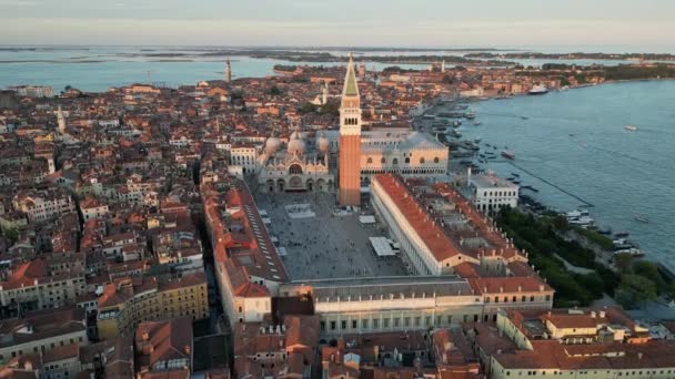 Etablera Flygfoto Venedig Stadssiluett Marks Square Med Hundar Palace Basilika — Stockvideo