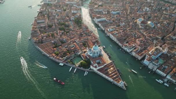 Venice City Skyline Aerial View Basilica Santa Maria Della Salute — Stock Video