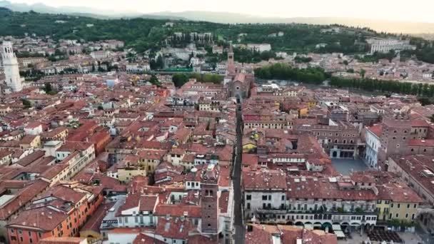 Santa Anastasia Talya Nın Basilica Santa Anastasia Hava Perspektifi Verona — Stok video