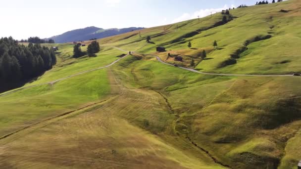 Alpe Siusi Seiser Alm Δολομίτες Άλπεις Sassolungo Και Sassopiatto Βουνά — Αρχείο Βίντεο